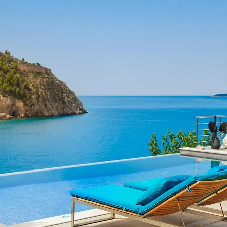 Braunis Horio * Asos