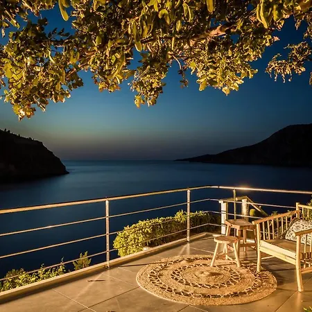 Braunis Horio * 阿索斯